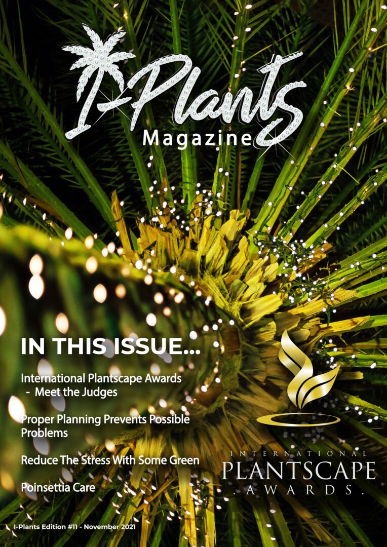 November 2021 issue is now live!!
